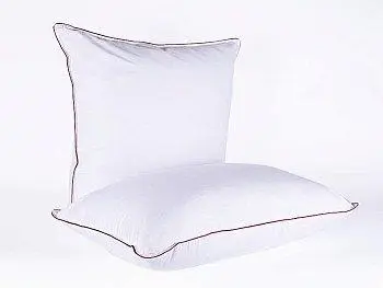 Подушка Natures Ружичка 70