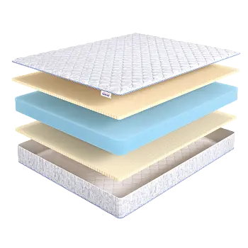 Roll Latex Dual