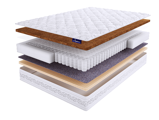 DeepSon PREMIUM Chance S500 1 (фото)