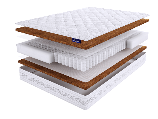 DeepSon PREMIUM Cocos S500 1 (фото)