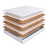 Orto Mix Holl (145х215)