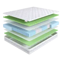 Intellect Zone Ergo (145х215)