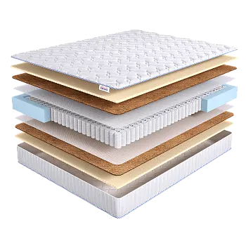 Base Medium 2 TFK (145х215)